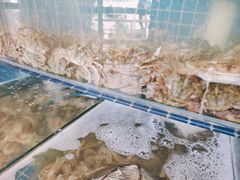 -蟹谢蒸鲜自助餐厅