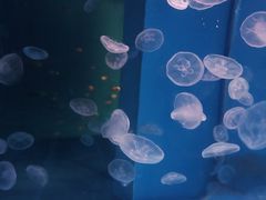 -石林冰雪海洋世界