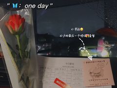 -枫花园汽车电影院(朝阳公园店)
