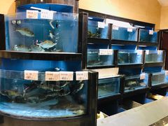 水产区-岭南海晏楼(东晓南店)