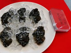-饭怕鱼(阳光100店)
