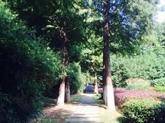 暨阳湖生态园-暨阳湖生态园