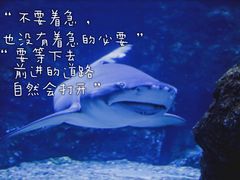 -南昌海洋公园