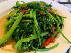 蒜头炒含羞草-建兴酒家(素里翁分店)