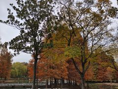 -白塘生态植物园