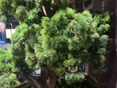 -重庆德庄火锅(映月湖环宇城店)