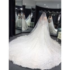 点击看大图 -艾米丽婚纱礼服