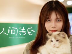 -飞行喵MR PILOT|猫舍·猫咖(静安大融城店)