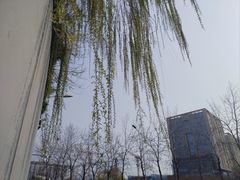-玲珑塔公园