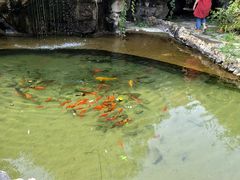 -盛世南宫影视城(北普陀影视城)