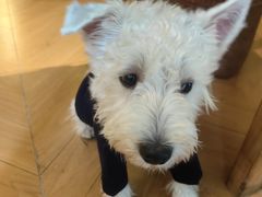 -SeekSeeking咖啡专门店(堰塘街店)