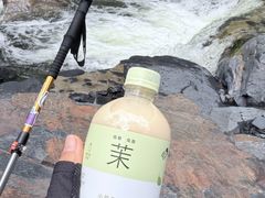 -凤凰山国家森林公园