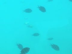-亚龙湾海底世界
