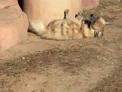 -鄂尔多斯野生动物园