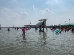 -碧海金沙