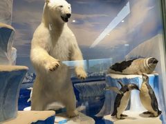 -国家自然博物馆