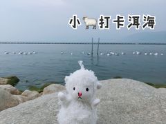 -大理洱海