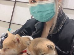 -逗柴咖啡屋·狗咖猫咖宠物桌游