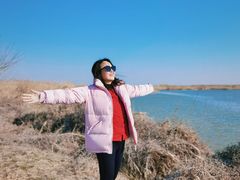 -盐城丹顶鹤湿地生态旅游区