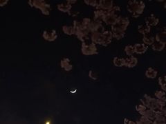 -上海南浦大桥长途旅游客运站