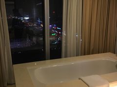 -南桥绿地铂骊酒店