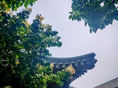 -三里河公园