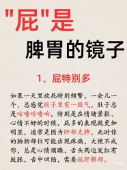 -玛莲朵·海菲秀冰珀科