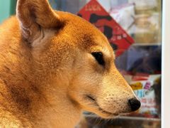 -小时光咖啡馆(开森度假森林店)
