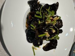 -洞庭家宴·头牌甲鱼(广渠门店)