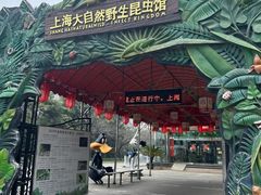 -上海大自然野生昆虫馆(东方明珠·爬宠昆虫探索中心)