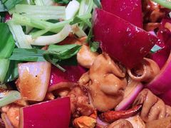 肥肠-凤兴鸡煲(宝安海雅店)