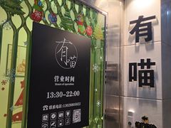 -有喵·猫咖·狗咖·30几只猫10只小狗(岗厦店)