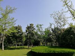 -紫薇公园
