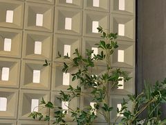 -霸王茶姬(正佳广场店)