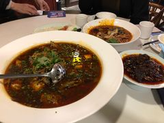 -院8里·少城记忆老川菜(宽窄巷子店)