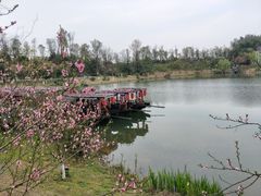 -常德桃花源景区