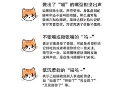 -唐小姐の猫狗洗护·购宠旗舰店(周浦万达店)