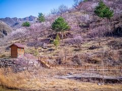 -百里山水画廊