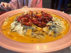 -柿合缘新京菜(国金中心商场店)
