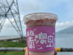 -南澳岛打卡果汁冰公司