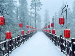 -瓦屋山景区