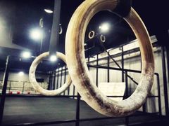 -CrossFitTianfu综合训练馆