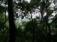 android_upload_pic-陈行公园