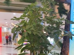 -桂满陇·蟹黄小笼汤包(中山公园店)