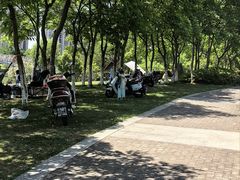 -九里河湿地公园