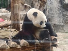 -皇家御河游(紫御湾码头)