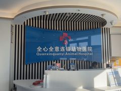 -全心全意动物诊疗中心医院(北苑店)