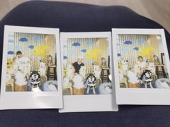 -柴迷FANS CLUB·柴犬狗咖·猫咖