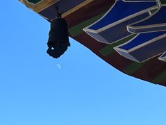 -皇罗禅寺
