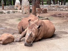 -北京野生动物园